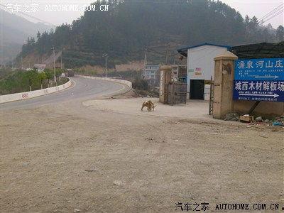 3p 国产,多元文化交融的东方奇迹 第2张 3p 国产,多元文化交融的东方奇迹 第2张