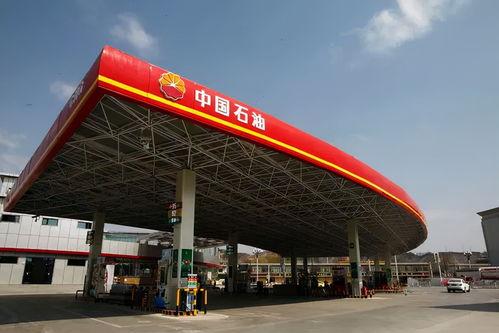 国产资源站,汇聚海量优质资源,助力创新发展 第3张 国产资源站,汇聚海量优质资源,助力创新发展 第3张