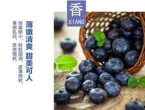 水莓100完全国产免费,国产免费,引领健康生活新潮流 第2张 水莓100完全国产免费,国产免费,引领健康生活新潮流 第2张