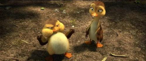 鸭子tv国产 第3张 鸭子tv国产 第3张