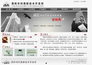 国产恋足网站,揭秘国产恋足网站的独特魅力  第2张