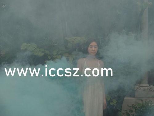 国产中文字幕不卡在线,国产中文字幕不卡在线解析  第2张