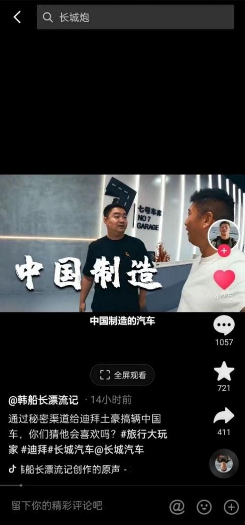 在线观看国产你懂的,在线观看，你懂的精彩瞬间  第3张